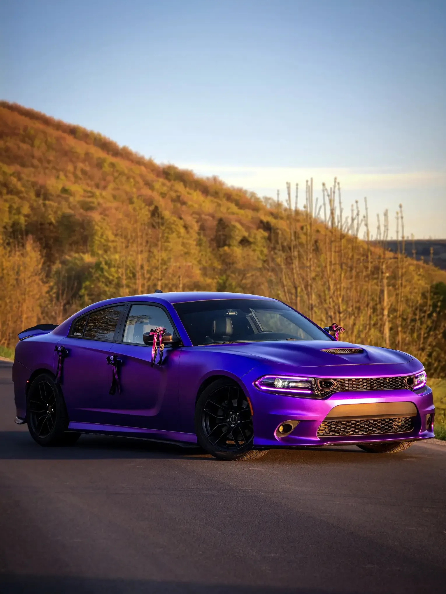 Dodge Charger 5.7 V8 do transportu na lotnisko - przód auta